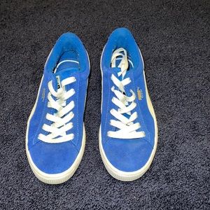 Blue pumas